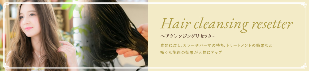 ヘアクレンジングリセッター