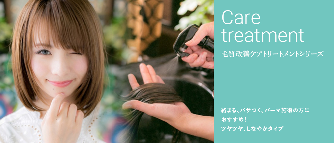 毛髪改善ケアトリートメント 技術のこだわり 戸田 戸田公園の美容室 美容院 Bliss戸田公園